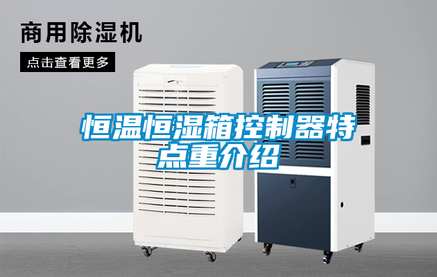 恒温恒湿箱控制器特点重介绍