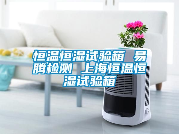 恒温恒湿试验箱 易腾检测 上海恒温恒湿试验箱
