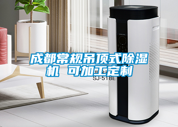 成都常规吊顶式除湿机 可加工定制