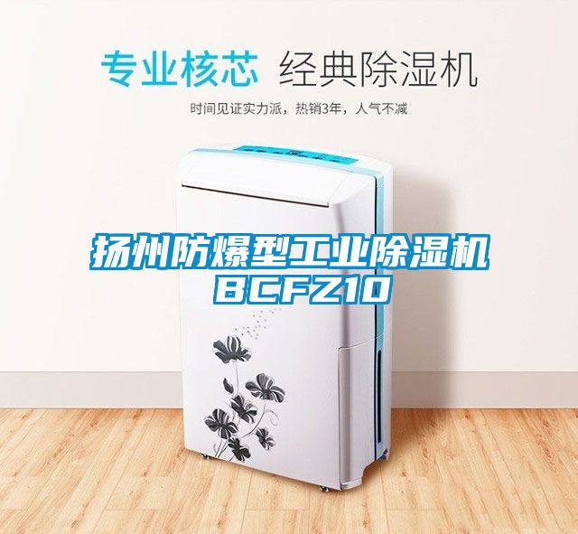 扬州防爆型工业除湿机 BCFZ10