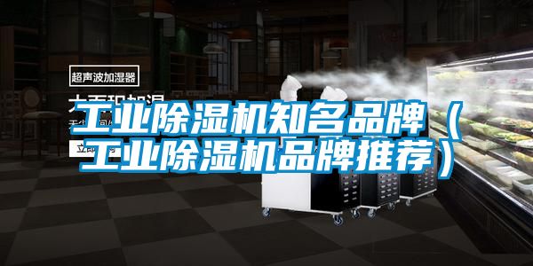 工业除湿机知名品牌（工业除湿机品牌推荐）