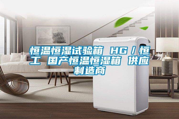 恒温恒湿试验箱 HG／恒工 国产恒温恒湿箱 供应制造商