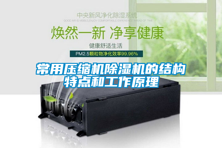 常用压缩机除湿机的结构特点和工作原理
