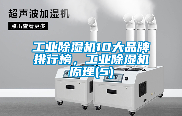 工业除湿机10大品牌排行榜，工业除湿机原理(5)