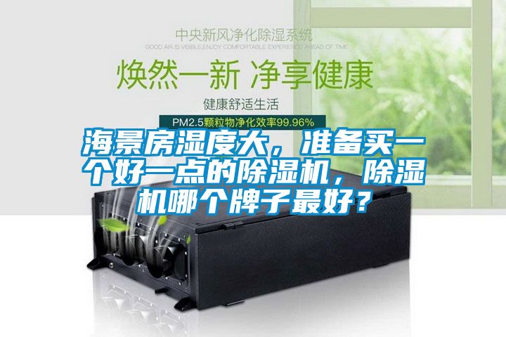 海景房湿度大，准备买一个好一点的除湿机，除湿机哪个牌子最好？