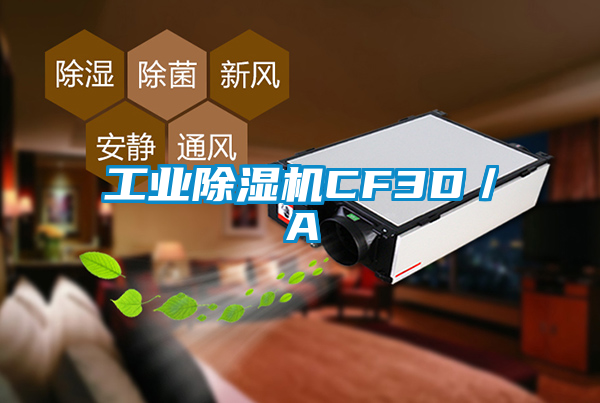 工业除湿机CF3D／A