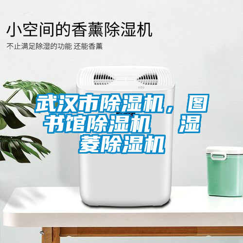 武汉市除湿机，图书馆除湿机  湿菱除湿机