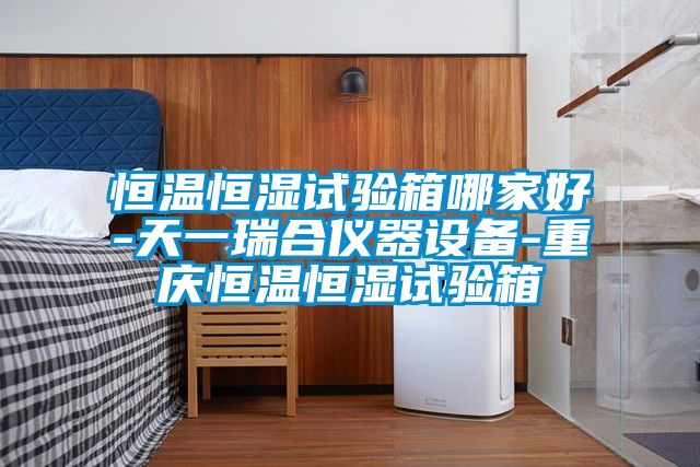 恒温恒湿试验箱哪家好-天一瑞合仪器设备-重庆恒温恒湿试验箱