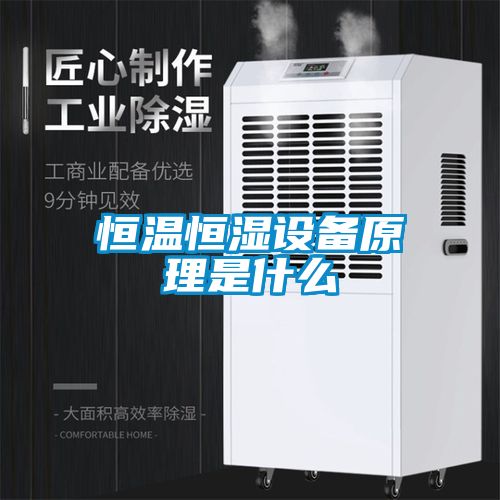 恒温恒湿设备原理是什么