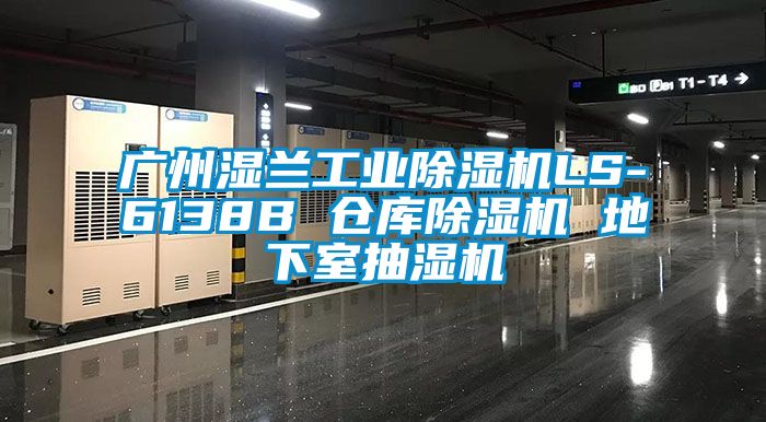 广州湿兰工业除湿机LS-6138B 仓库除湿机 地下室抽湿机