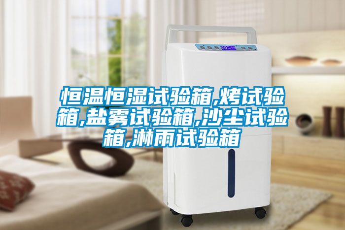恒温恒湿试验箱,烤试验箱,盐雾试验箱,沙尘试验箱,淋雨试验箱