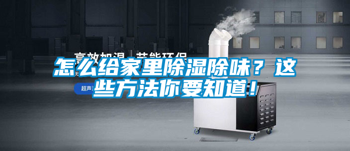 怎么给家里除湿除味？这些方法你要知道！