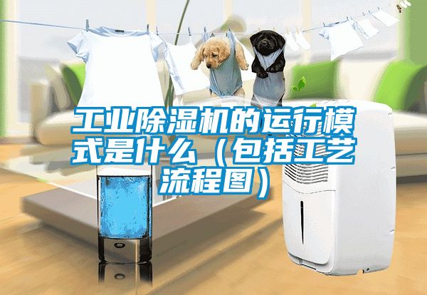 工业除湿机的运行模式是什么（包括工艺流程图）
