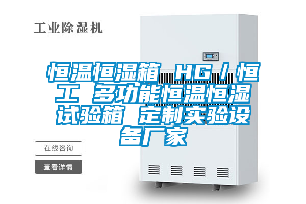 恒温恒湿箱 HG／恒工 多功能恒温恒湿试验箱 定制实验设备厂家