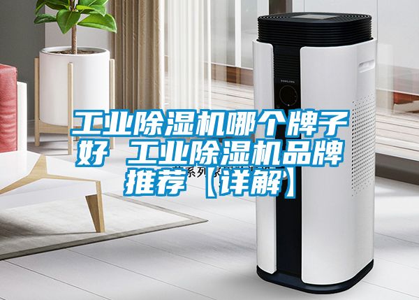 工业除湿机哪个牌子好 工业除湿机品牌推荐【详解】