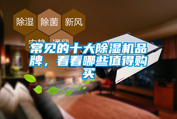 常见的十大除湿机品牌，看看哪些值得购买