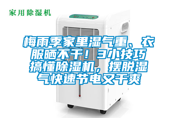 梅雨季家里湿气重、衣服晒不干！3小技巧搞懂除湿机，摆脱湿气快速节电又干爽