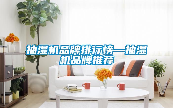 抽湿机品牌排行榜—抽湿机品牌推荐