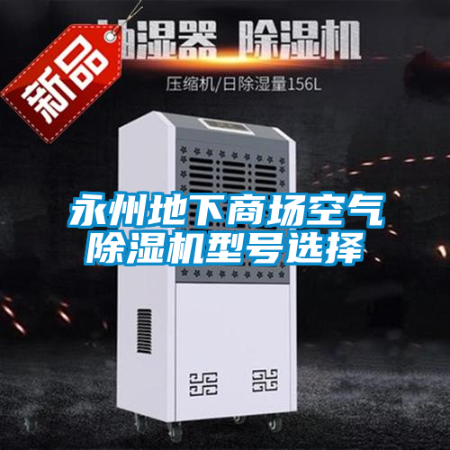 永州地下商场空气除湿机型号选择
