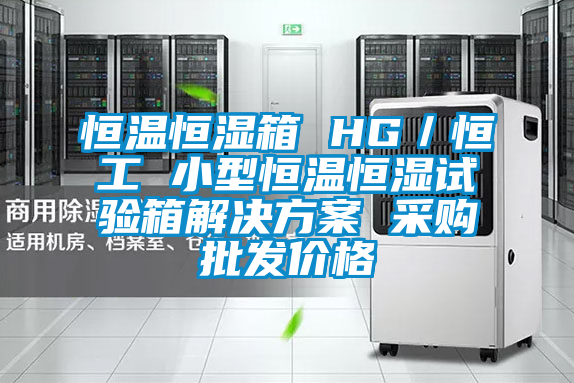 恒温恒湿箱 HG／恒工 小型恒温恒湿试验箱解决方案 采购批发价格