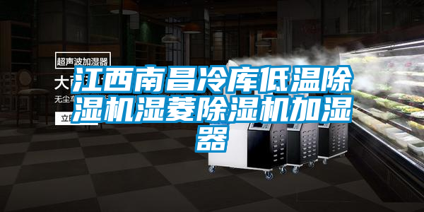 江西南昌冷库低温除湿机湿菱除湿机加湿器
