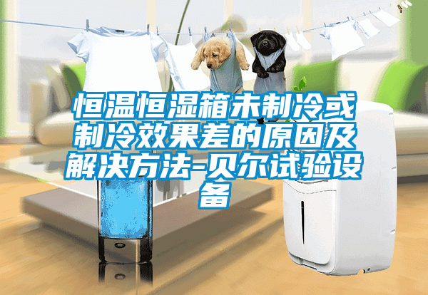 恒温恒湿箱未制冷或制冷效果差的原因及解决方法-贝尔试验设备