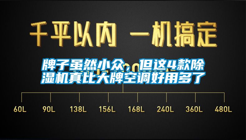 牌子虽然小众，但这4款除湿机真比大牌空调好用多了