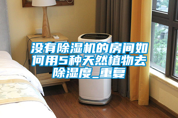没有除湿机的房间如何用5种天然植物去除湿度_重复