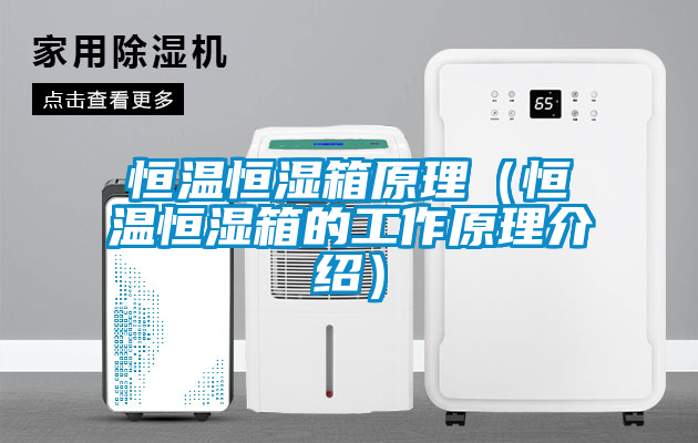 恒温恒湿箱原理（恒温恒湿箱的工作原理介绍）