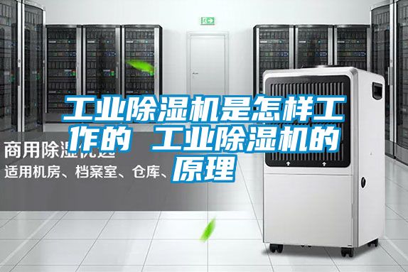 工业除湿机是怎样工作的 工业除湿机的原理