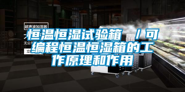恒温恒湿试验箱 ／可编程恒温恒湿箱的工作原理和作用