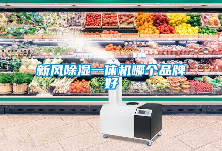新风除湿一体机哪个品牌好