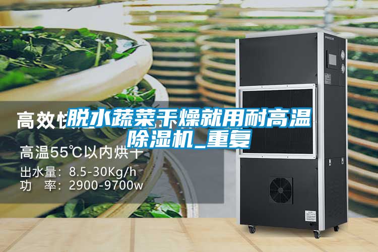 脱水蔬菜干燥就用耐高温除湿机_重复
