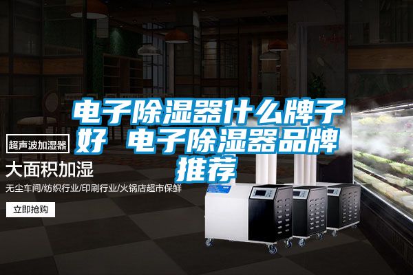 电子除湿器什么牌子好 电子除湿器品牌推荐