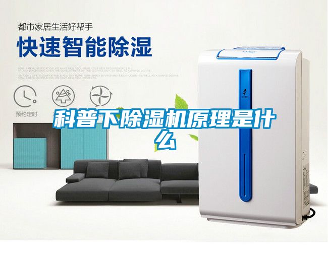 科普下除湿机原理是什么