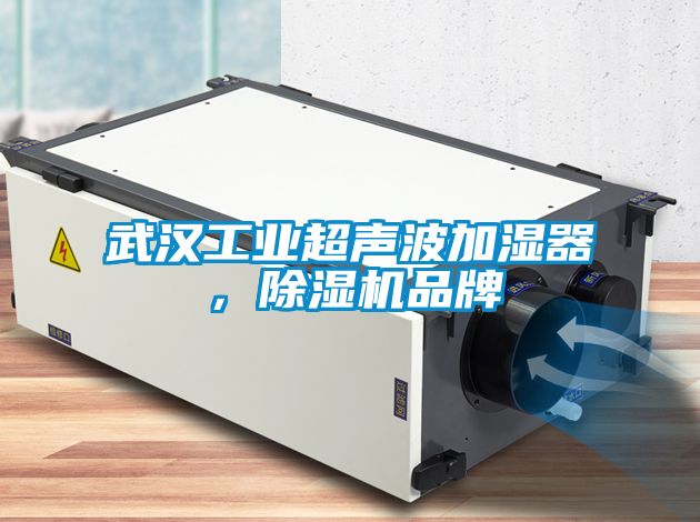 武汉工业超声波加湿器，除湿机品牌