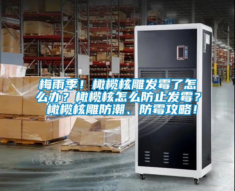 梅雨季！橄榄核雕发霉了怎么办？橄榄核怎么防止发霉？ 橄榄核雕防潮、防霉攻略！