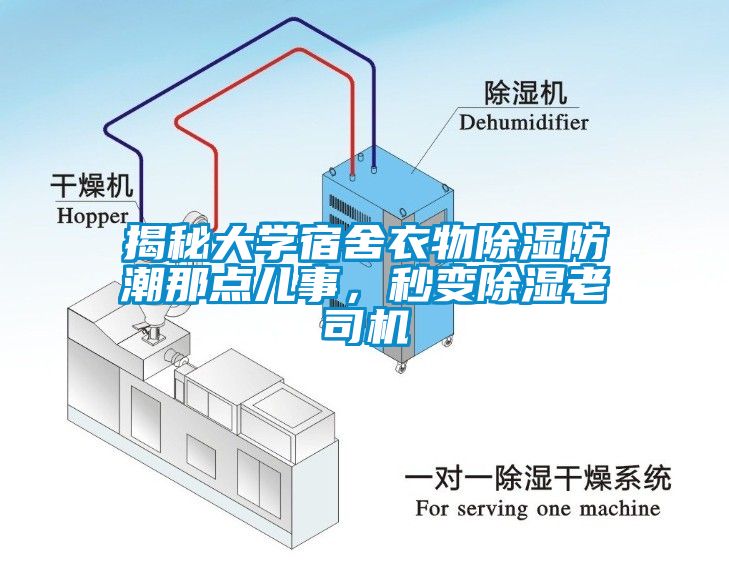 揭秘大学宿舍衣物除湿防潮那点儿事，秒变除湿老司机