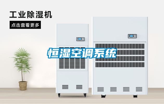 恒湿空调系统