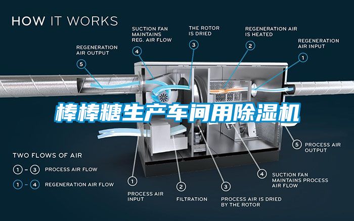 棒棒糖生产车间用除湿机