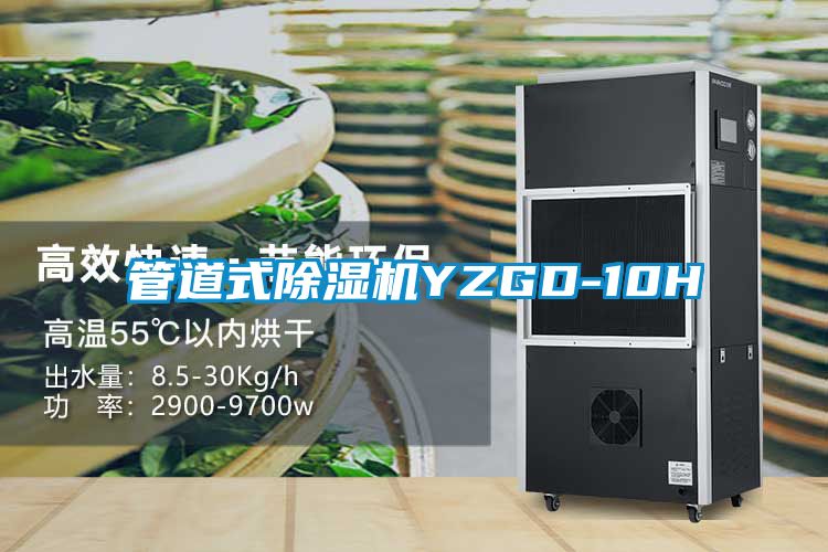 管道式除湿机YZGD-10H