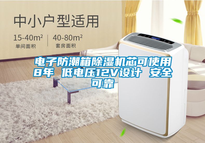 电子防潮箱除湿机芯可使用8年 低电压12V设计 安全可靠