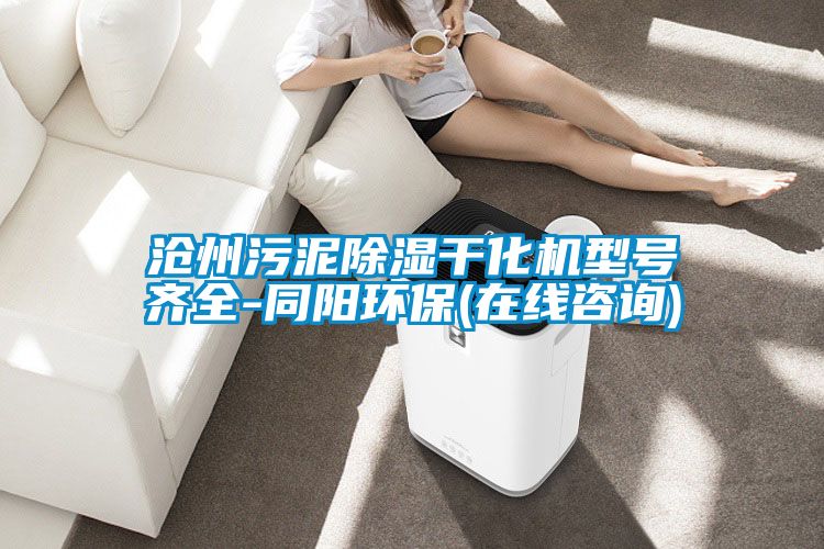 沧州污泥除湿干化机型号齐全-同阳环保(在线咨询)