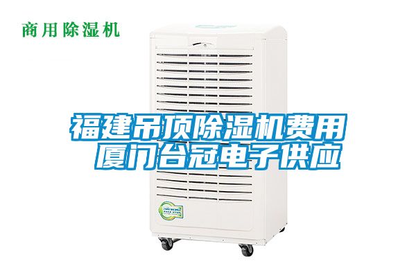 福建吊顶除湿机费用 厦门台冠电子供应
