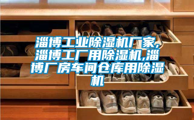 淄博工业除湿机厂家,淄博工厂用除湿机,淄博厂房车间仓库用除湿机