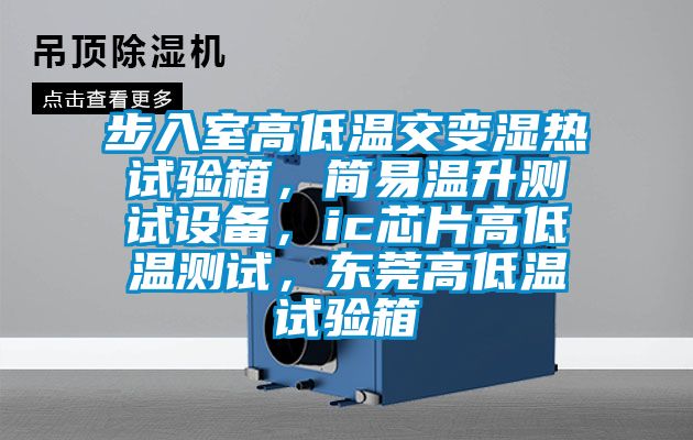 步入室高低温交变湿热试验箱，简易温升测试设备，ic芯片高低温测试，东莞高低温试验箱