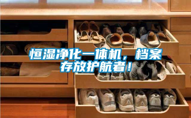 恒湿净化一体机，档案存放护航者！