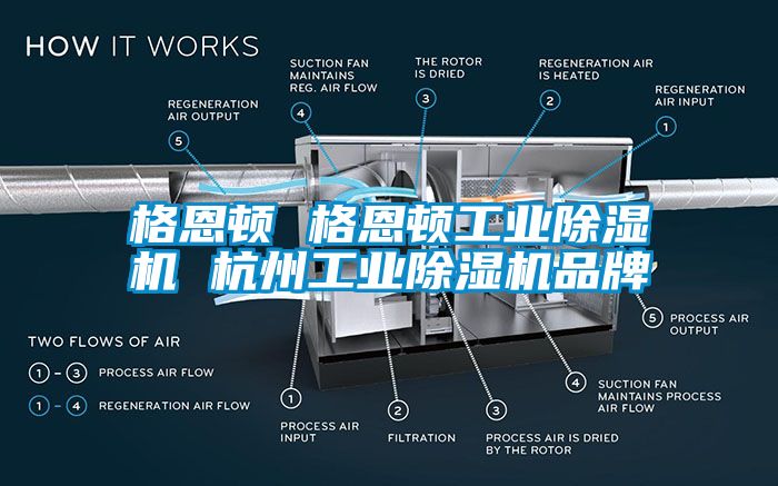 格恩顿 格恩顿工业除湿机 杭州工业除湿机品牌