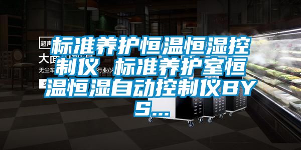 标准养护恒温恒湿控制仪 标准养护室恒温恒湿自动控制仪BYS...