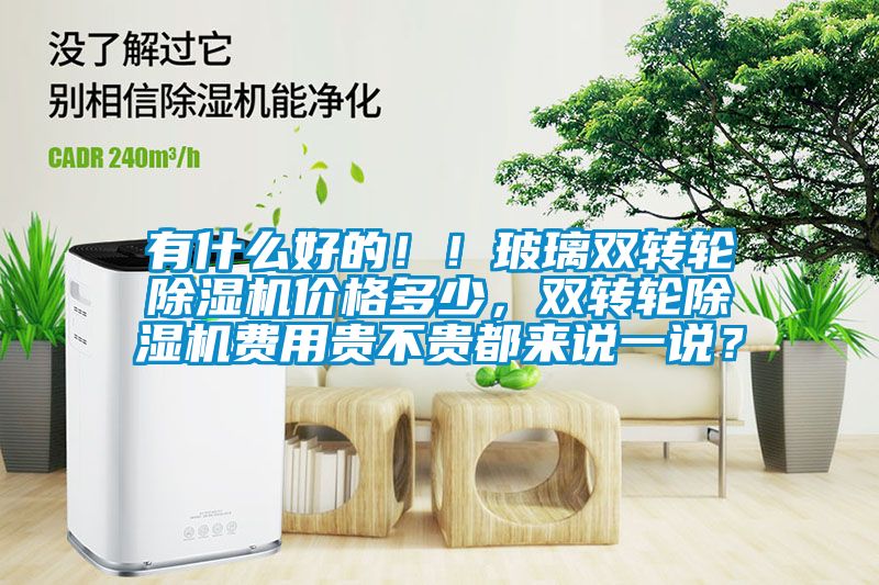 有什么好的！！玻璃双转轮除湿机价格多少，双转轮除湿机费用贵不贵都来说一说？